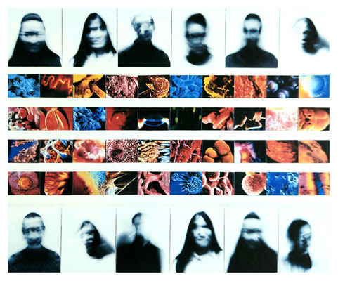 Organköpfe 52-teilig 300x200cm Foto/Laserkopie 1998