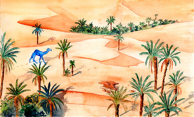 illustration jeunesse désert