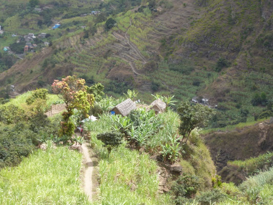 Cap vert Santo Antao