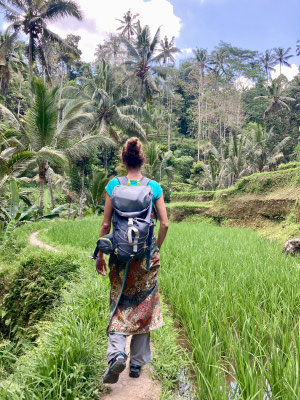 Bali Rizières 
