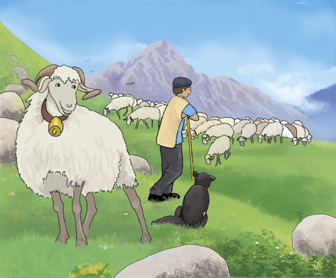 illustratrice jeunesse Pyrénées brebis
