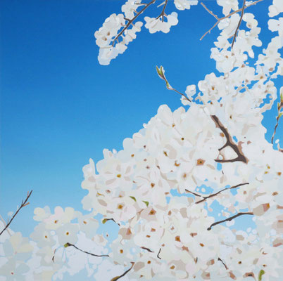 青空_Blue Sky_420×420(340×340)mm_silkscreen_ed.8_2025_HidemiMOMMA