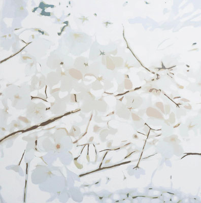 桜_Cherry blossom_420×420（340×340）mm_silkscreen_ed.8_2025_HidemiMOMMA