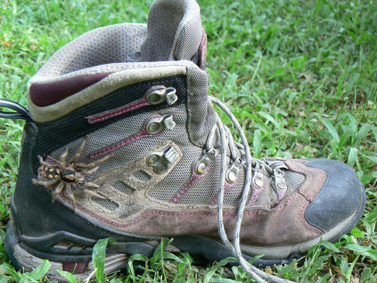 Parc national de Tayrona - nouvelle deco locale sur ma chaussure