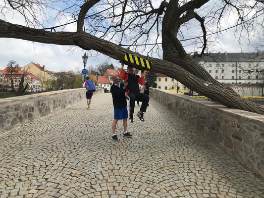 Jede Gelegenheit für Training wurde genutzt!