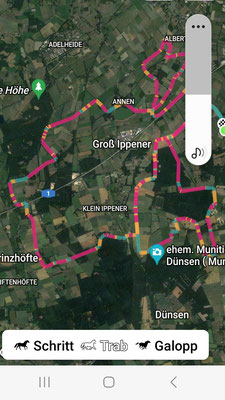 Runde 2 - 30 km, schönste Strecke, u. a. mit Wasserbüffeln und jeder Menge Gänse. Runde 3 - 19 km. 
