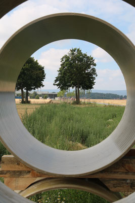 immer den Durchblick behalten