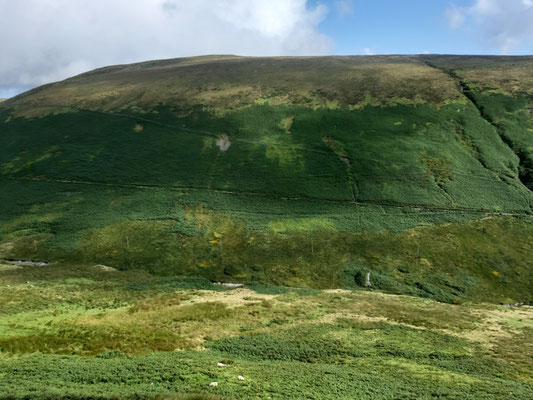 unterwegs mit der Snaefell Mountain Eisenbahn