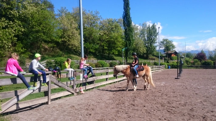 Kinderreitwochen 2018 Kinder mit Haflinger