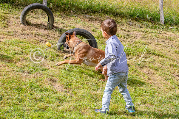 Bild 61