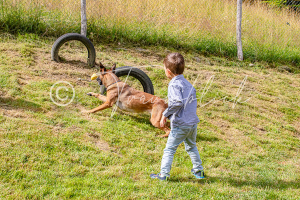 Bild 62