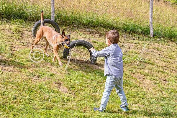 Bild 63