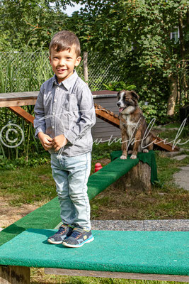 Bild 17