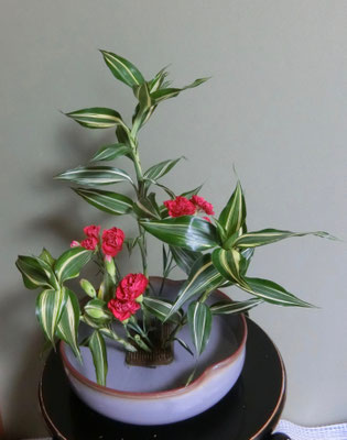 村瀬益弘　　カーネーション　カラー