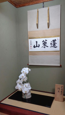河本仁花傳   胡蝶蘭