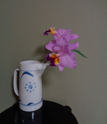 村瀬眞花傳　カトレア　カーネーションの葉
