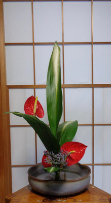 瞳　   　　　アンセリューム　葉蘭　リモニューム