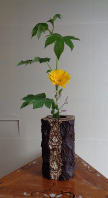 水谷月花傳　木苺　リモニューム　ガーベラ