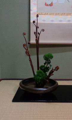 水谷月花傳　ゼンマイ　ダイアンサス