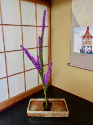  水谷月花傳　リアトリス