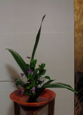 水谷月花傳　葉蘭　鉄線　リモニューム