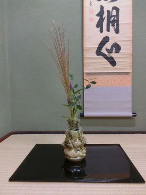 村瀬益弘　ススキ　シンフォリカルプス