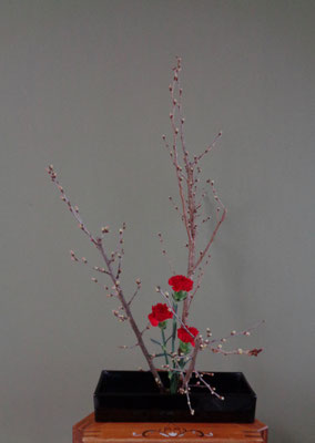 髙橋暁美　　啓翁桜　カーネーション