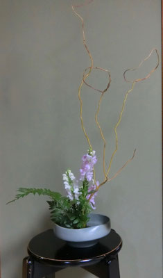 村瀬益弘　　金魚草　雲竜柳 　レザーファン