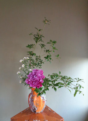 高橋暁美　　アセビ　芍薬（カショクテン）　孔雀草
