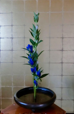 水谷月花傳　リンドウ
