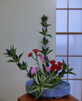 髙橋暁美　　竜胆　カーネーション　ドラセナ　カラー