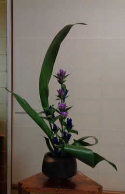 水谷月花傳　      葉蘭　竜胆