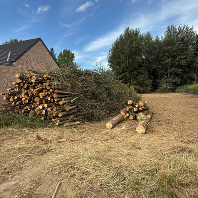 défrichement arbatax wallonie
