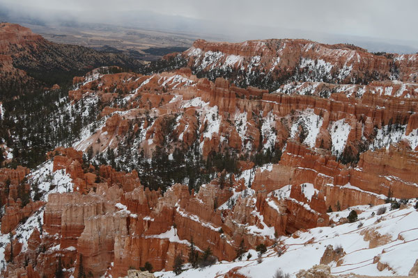 Bryce canyon sous la neige