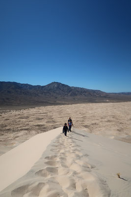 Ascension de la grande dune de Kelso