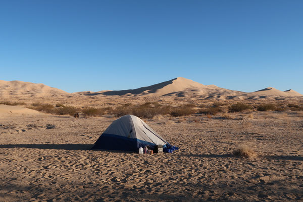 Free Camp des dunes de Kelso