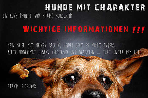 Studio-Seikel / Hunde mit Charakter / Kunst-Projekt / Werbefotografie / Hundefotos / Tierfotografie / Hundefotografie