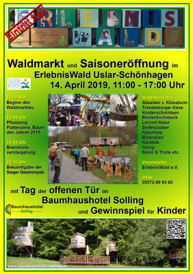 Das geht ab: Programm zum Waldmarkt.