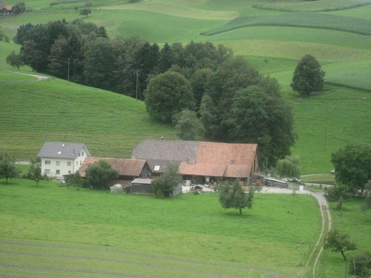 Wermelinger Felix, Neuhus