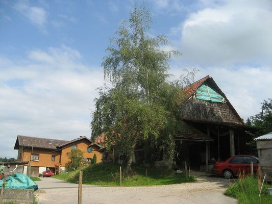 Kurmann Elsbeth und Walter, Vorwald
