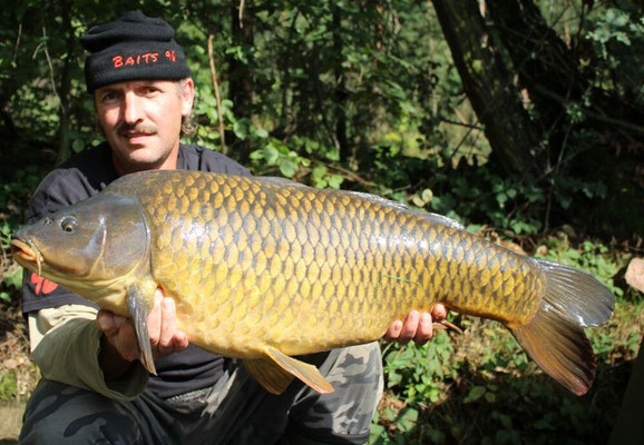 Kinzig-Stausee gefangen am 18.09.2015, 13,5 Kg