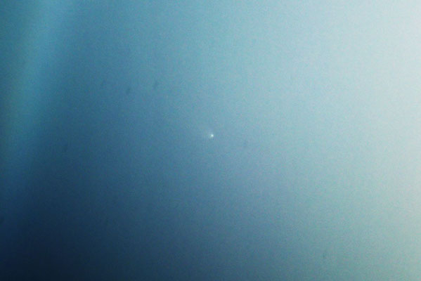 2007年1月15日　白昼の空に見えた　マックノート彗星　（f500mmレンズ　露出1/4000秒でも露出オーバー！？）