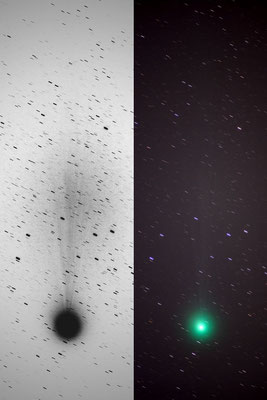 2015年1月　新春の夜空高く淡い尾をたなびかせた　ラブジョイ彗星　（f400mmレンズ　多数枚コンポジット画像）