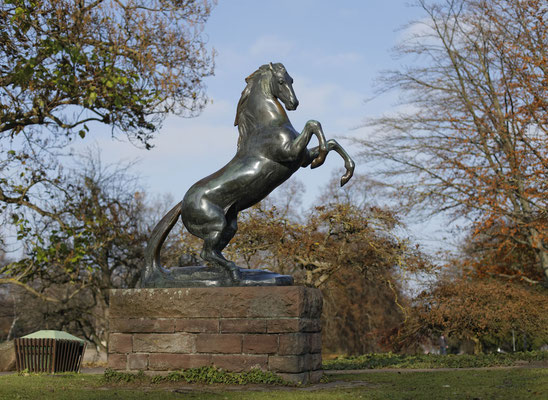 Fritz von Graevenitz: Steigendes Pferd