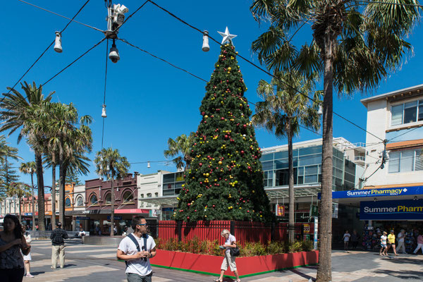 Manly - Merry Christmas!