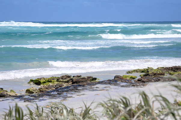 Beals Beach