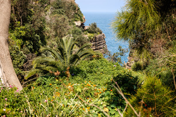 Coastal Cliff Walk - Diamond Bay Reserve