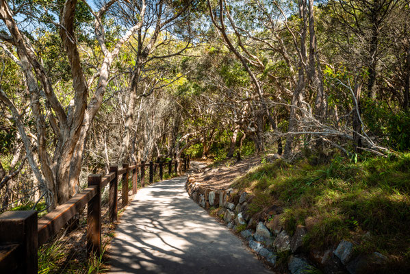 Noosa Heads National Park - Coastal Walk
