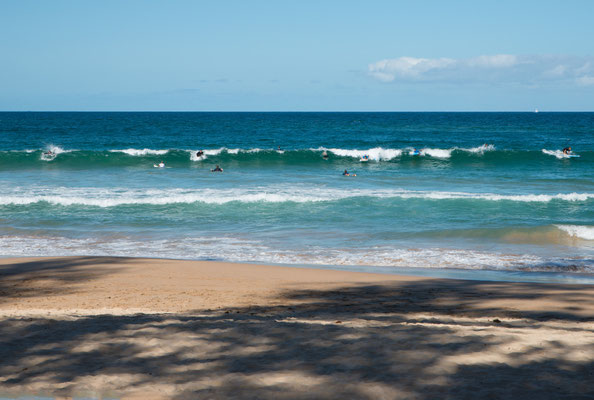 Manly Beach