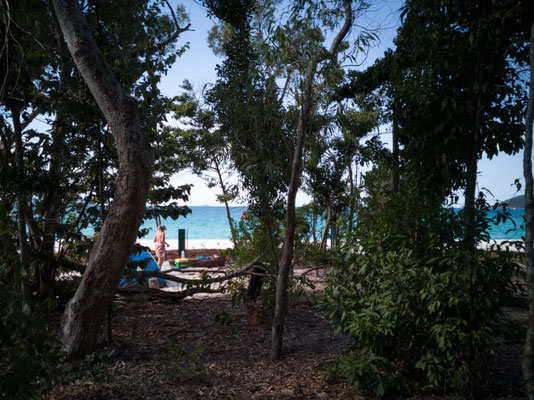 Der Nationalpark-Campingplatz am Whitehaven Beach